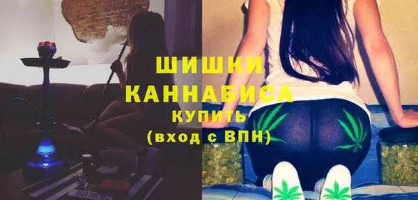 соль ск Строитель