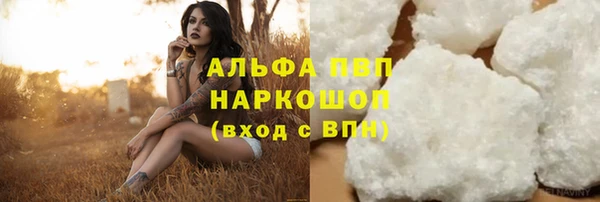 СК Ступино