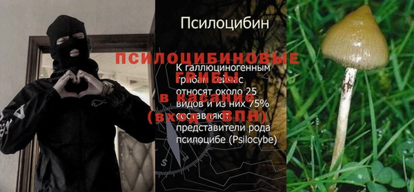 СК Ступино