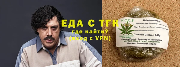 СК Ступино