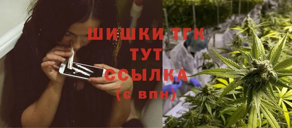 соль ск Строитель