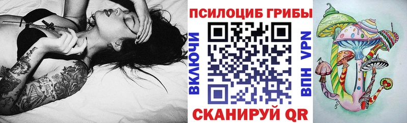 Галлюциногенные грибы Psilocybe  сайты даркнета наркотические препараты  Усолье 